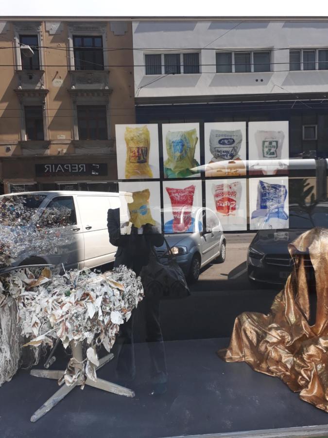 Mostly Muse Eidenberg المظهر الخارجي الصورة