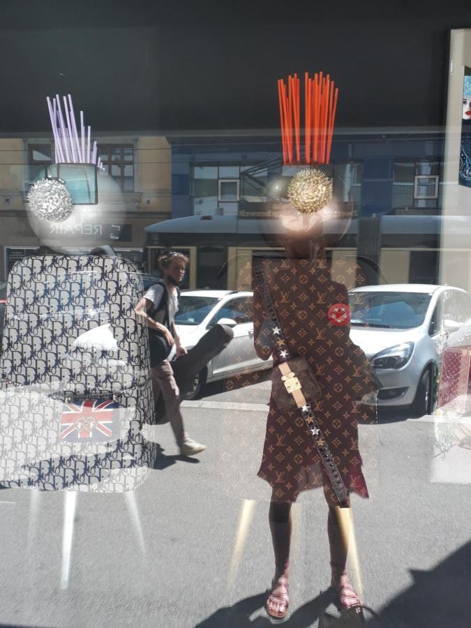 Mostly Muse Eidenberg المظهر الخارجي الصورة