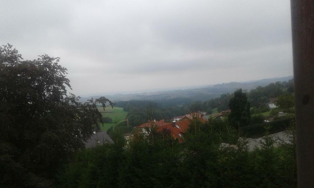 Mostly Muse Eidenberg المظهر الخارجي الصورة