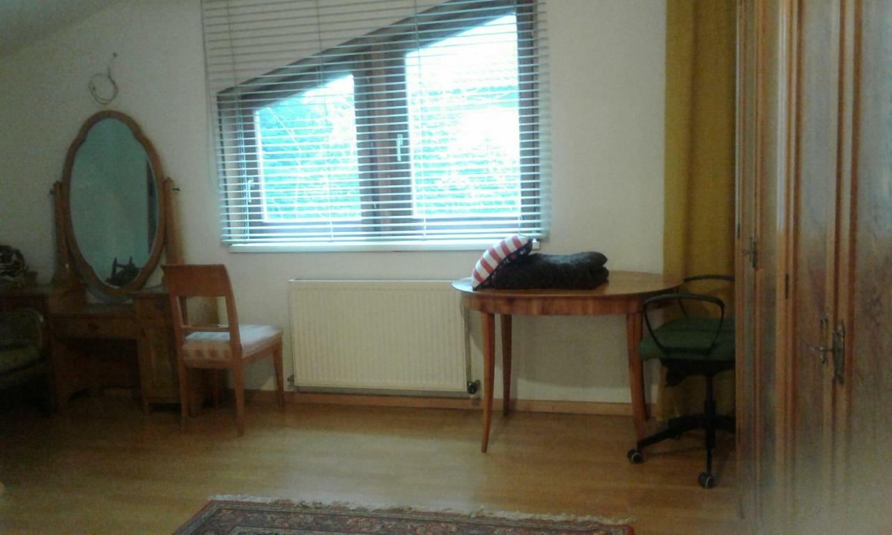 Mostly Muse Eidenberg المظهر الخارجي الصورة